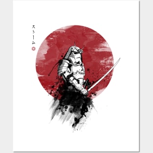 Storm Samurai Posters and Art